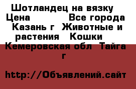 Шотландец на вязку › Цена ­ 1 000 - Все города, Казань г. Животные и растения » Кошки   . Кемеровская обл.,Тайга г.